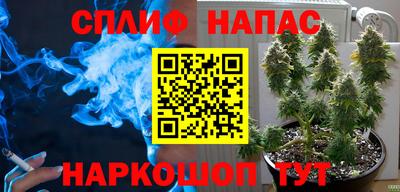 ешки Шебекино
