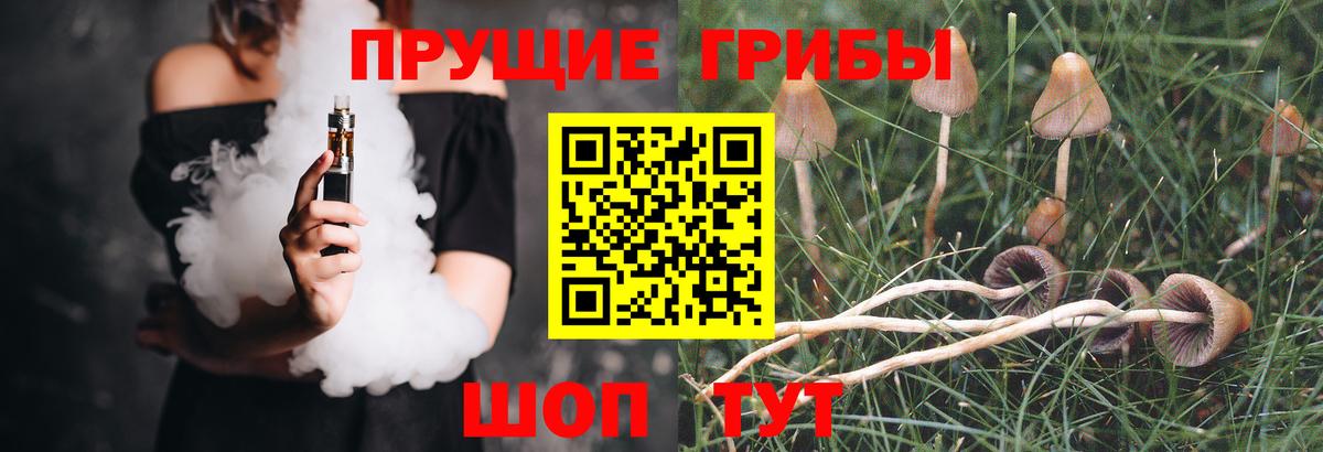 Стрежевой  Псилоцибиновые грибы Cubensis  Вход с VPN 